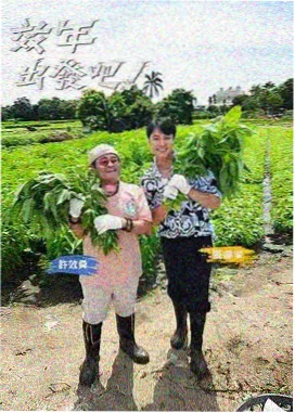 综艺舞台影视特效实时粒子包装画面